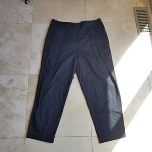 Nwt BCBG pants